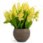 Veda RealTouch Muguet Arrangement-2006445241
