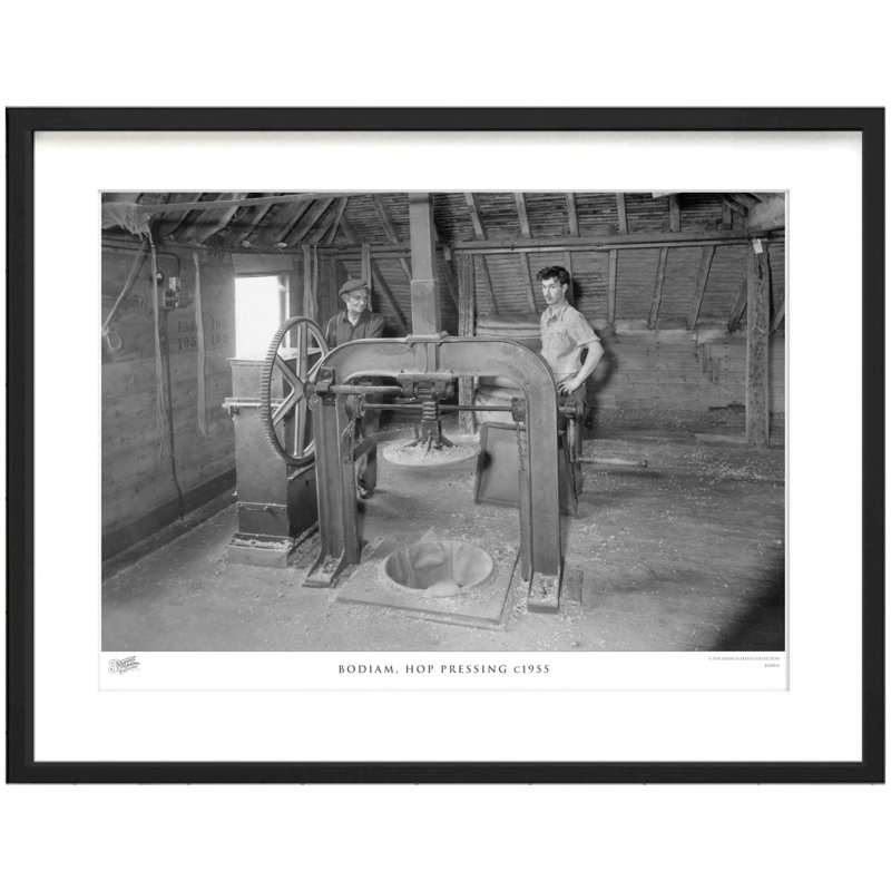 Bodiam, Hop Pressing C1955 by Francis Frith - Single Picture Frame Print, 40cm H x 50cm W x 2.3cm D