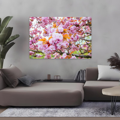 Fleurs de cerisier Kwanzan