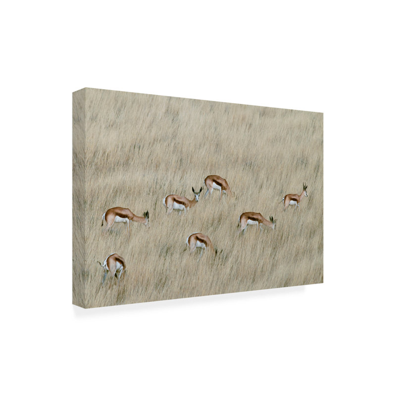 Art sur toile Mathilde Guillemot, H 12 po x l 19 po