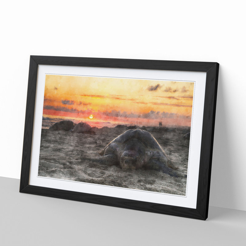 Turtle Beach - Picture Frame Graphic Art, 48cm H x 65cm W x 2cm D, Black