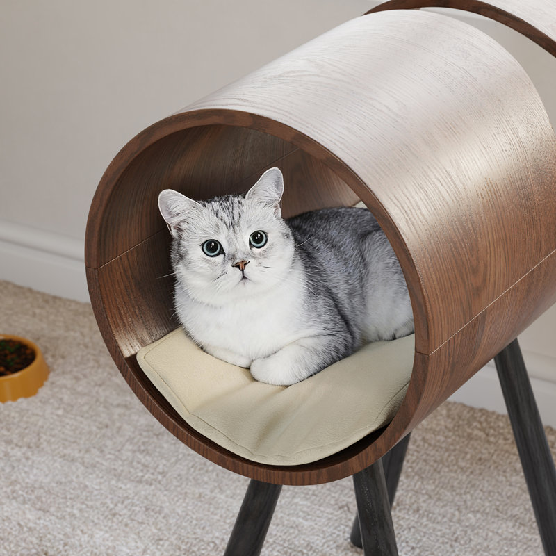 Cat Bed