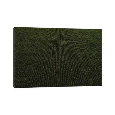 Rural Corn Fields II 1 Piece Wall Art on Canvas