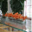 Arrangement floral orchidées Casa Moderna