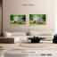 Lapins de jardin Brampt