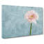 Lone Pink Gerbera - Wrapped Canvas-56639010