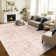 Washable Area Rug Pink Floral Soft Accent Carpet Vintage Inspired Distressed Low Pile for Living Room Dining Room Bedroom Den