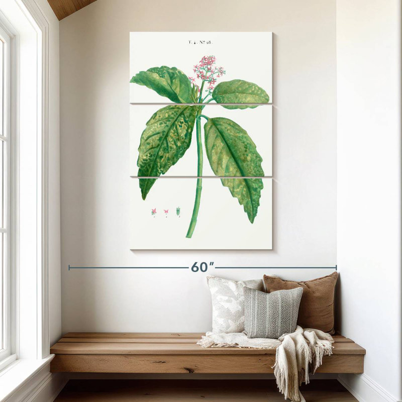 Harnek, laurier japonais, Aucuba Japonica, H 50 po x l 32 po