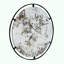 Miroir Theodor D31.5x0.5 "