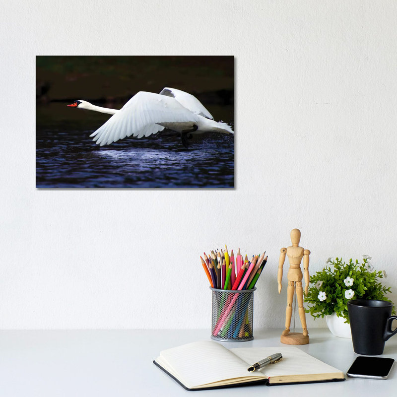 Blue Flight by David Gardiner - Wrapped Canvas Print, 20.32cm H x 30.48cm W