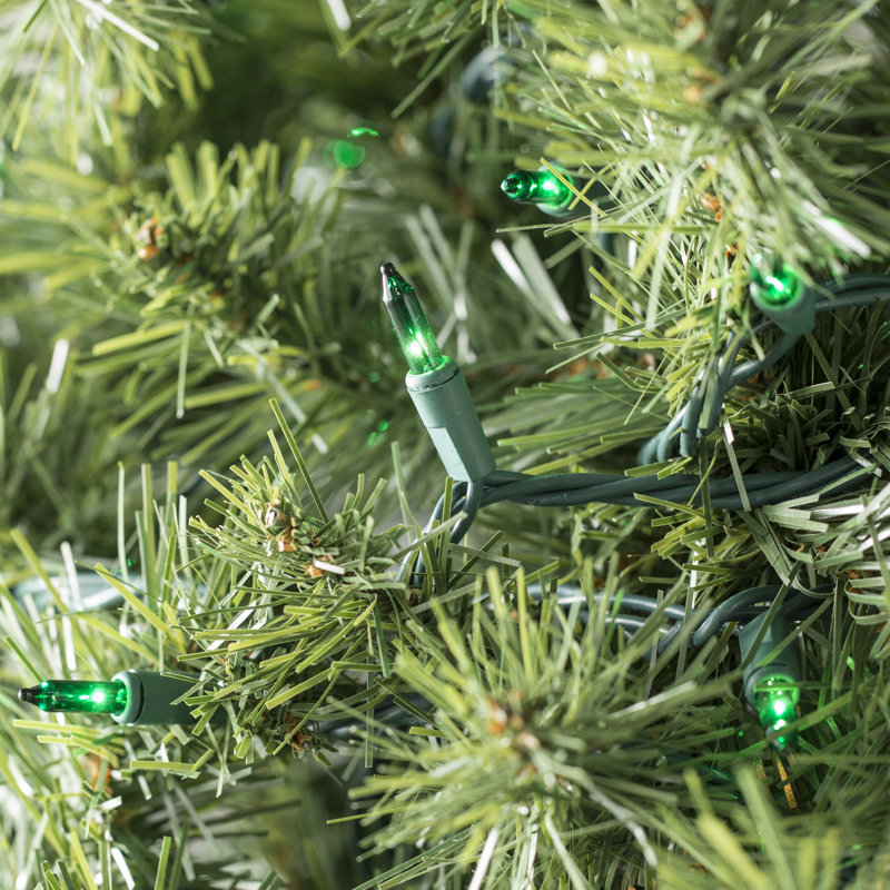 50.5' 100-Light String Lights, Green