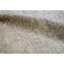 Sultanabad Wool Oriental Area Rug