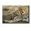 Kenya Kenya - reproduction de photo sur toile tendue-1323424108