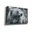 "Epic Graffiti" Grizzly Snack "par Nathan Larson, art mural sur toile-997122144