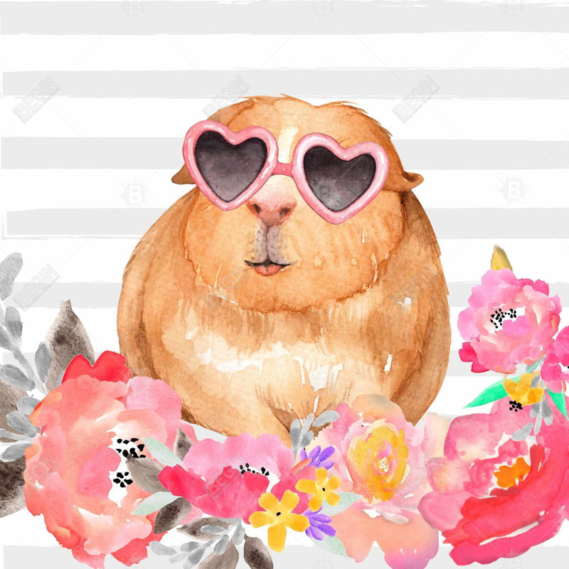 "Cochon d'Inde avec lunettes"