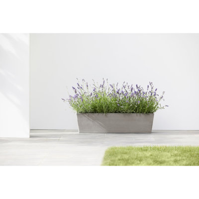 Pot Planter