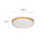 Hopeland Acrylic LED Flush Mount-913872867