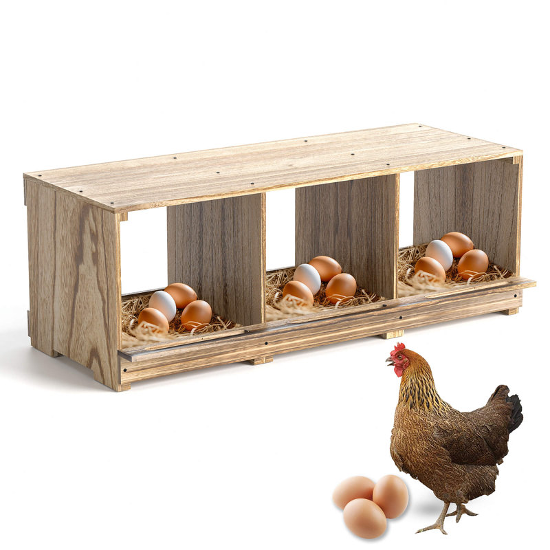 Boîtes de nidification pour poules Effrem, fixation murale à compartiments pour poulets, collection Easy Egg