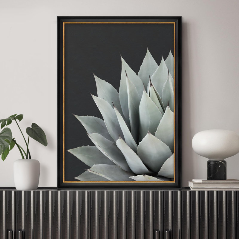 "Agave plante, gros plan, botanique, illustrations, impressionnisme, décoration murale", Non