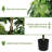 6 Ft Artificial Tree In Pot For Indoor And Outdoor Decor