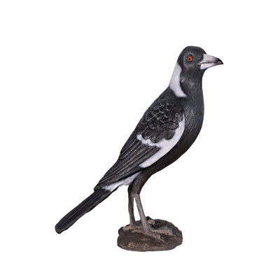 Magpie Crow Life Size Statue