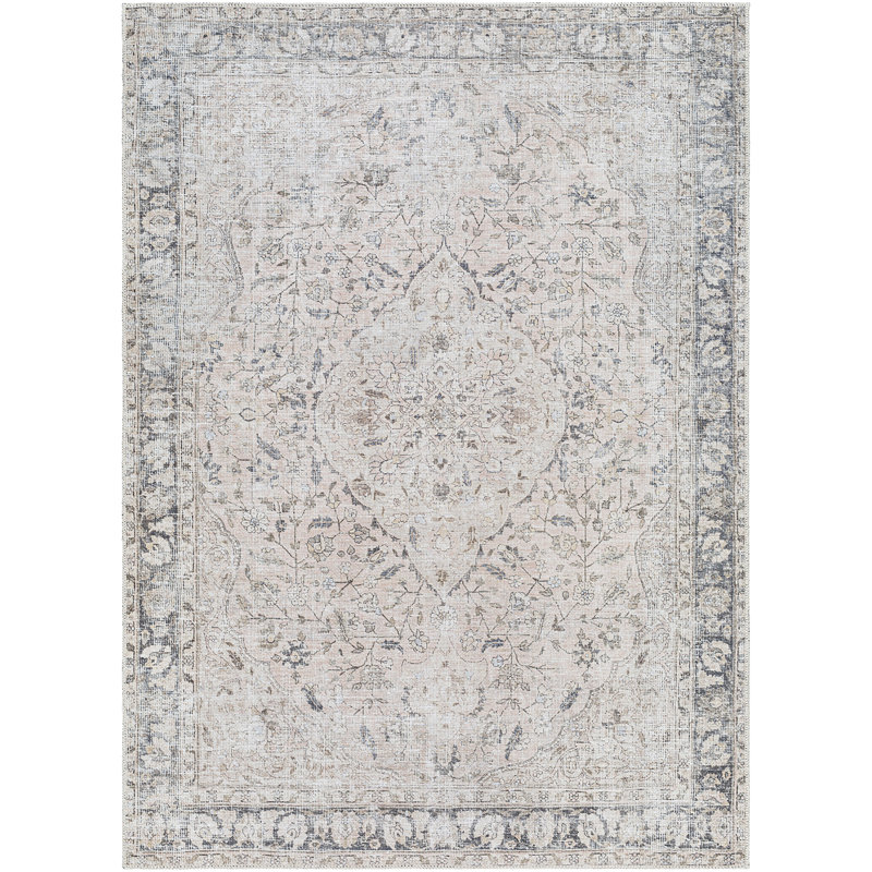 Theia Oriental Area Rug, Rectangle 160 x 220cm