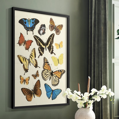 Collected Flutter II Framed Print - Solid Wood