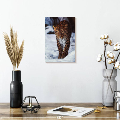 Brampt Winter Leopard