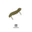Brass Plant Pals Insect Collection