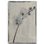 «Silk Botanicals VI», reproduction d'art sur toile tendue-1162233872