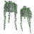 Plant Wall Décor Set
