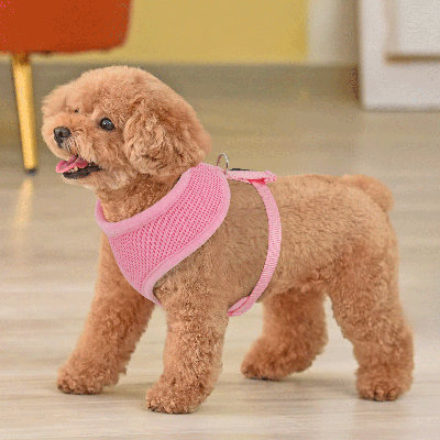Mesh Dog Harness, No Pull Harness Adjustable Soft Padded Pet Vest with D-Ring & Buckle for Dogs Cats
