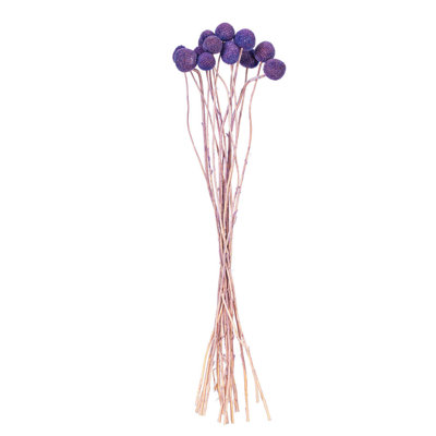 Vickerman 16-20" Natural Dried Bleached Craspedia Bunch 1.75 oz., Approximately 15-18 heads. This is a natural product, dimensions and color may vary plant to plant.