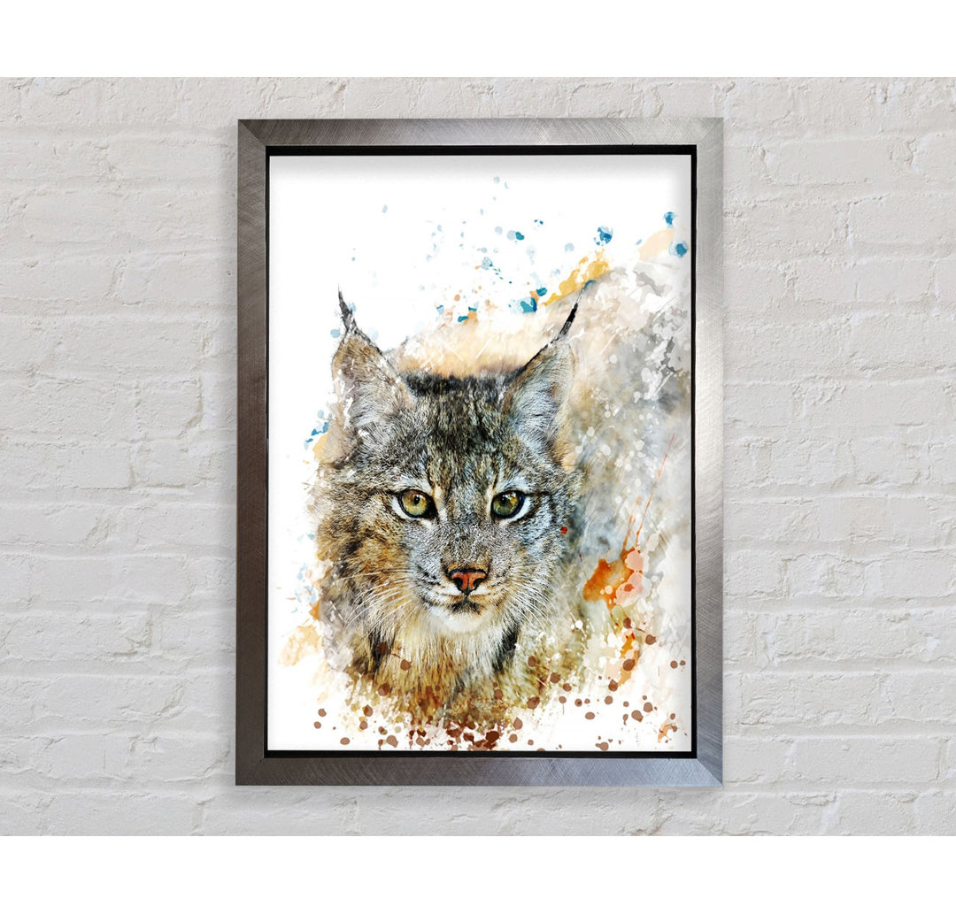 Wild Cat - Einzelner Bilderrahmen Kunstdrucke