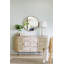 Console de 57 po x 16 po x 33 po avec portes cannes