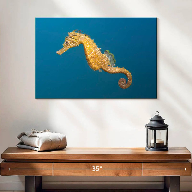 Brampt Short Snouted Seahorse, 16" H x 24" W