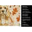 Buff Cocker Spaniel Heirloom Fall Kitchen Towel-1218231555