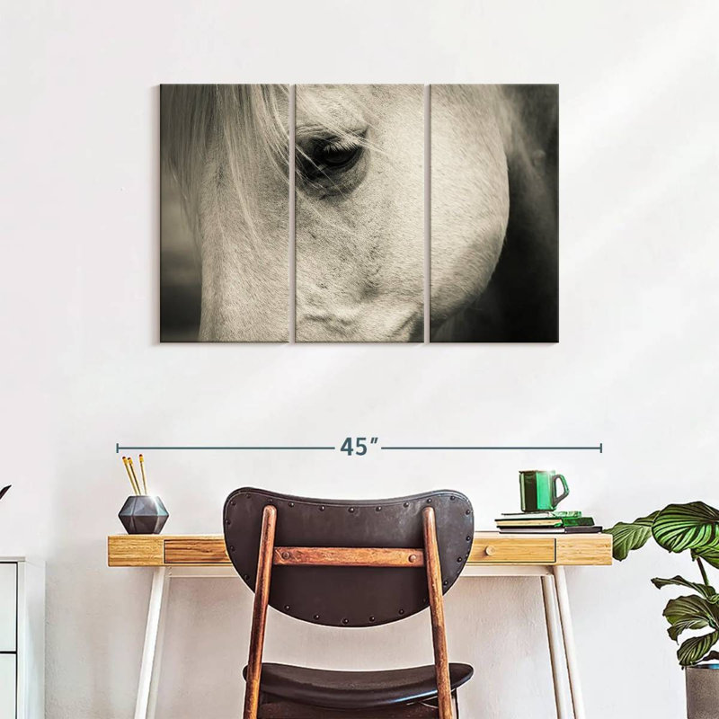 Œil de cheval blanc - impression sur toile tendue 3 pièces, H 24 po x l 38 po x P 1,25 po