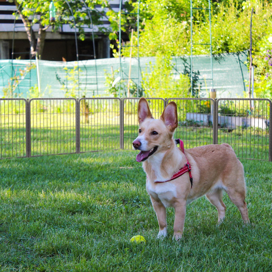 Metal Exercise Pen FXW 