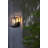 Phung Outdoor Wall Sconce in Black-1618720352