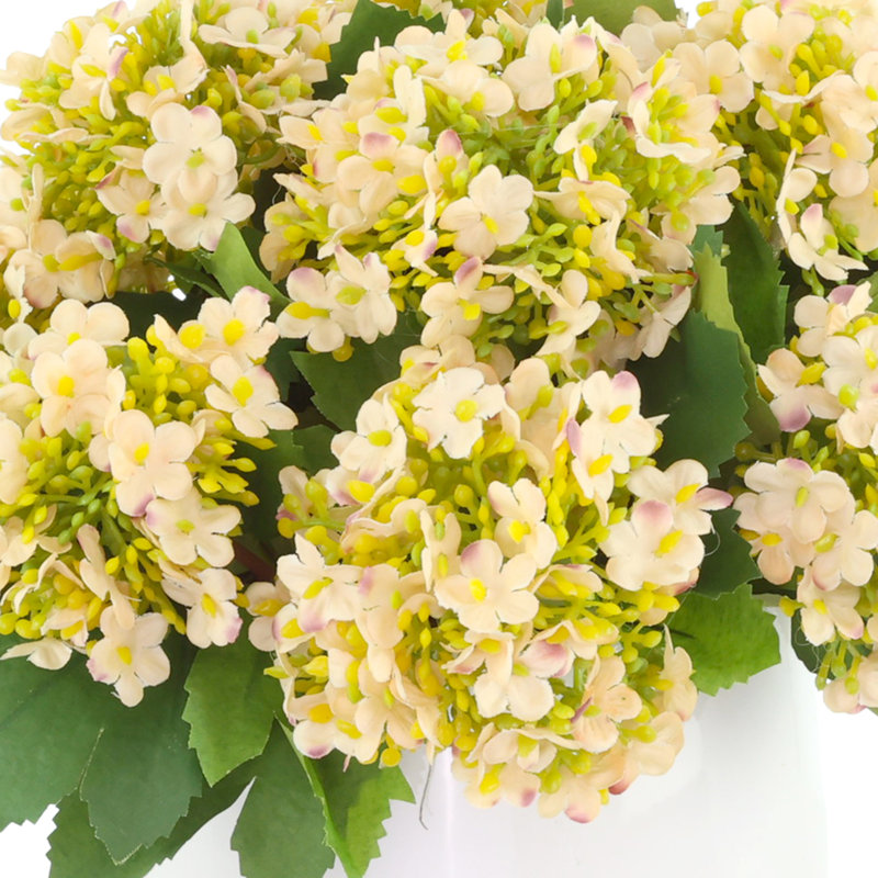 Snowball Hydrangea Arranged in a Ceramic Pot