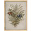 Berry and Foliage Botanical Framed Wall Art Prints - Natural Herb Design for Kitchen Dining Room-125120595-125120597