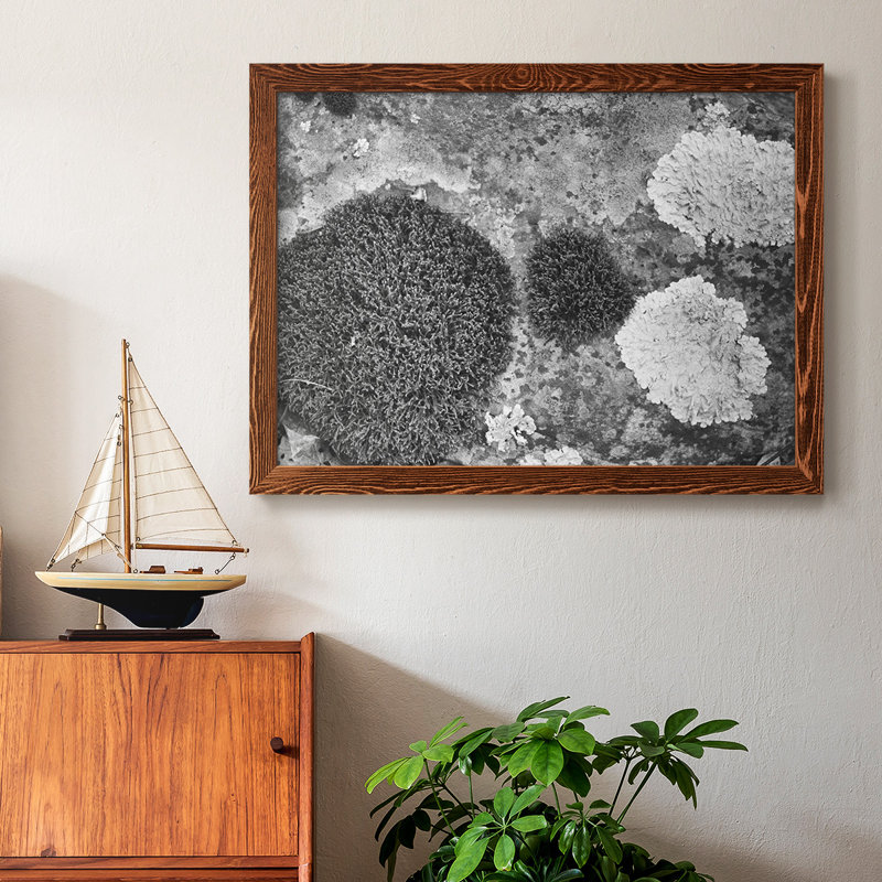 Found Textures XIX, reproduction sur toile encadrée, Érable, H 26 po x l 38 po x P 1,5 po