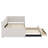 Upholstered Daybed With Trundle And Drawers-287409846-287409849