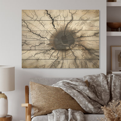 «Tree Cut Stump Beauty I», art mural panneau de bois de séquoia sur bois de pin naturel