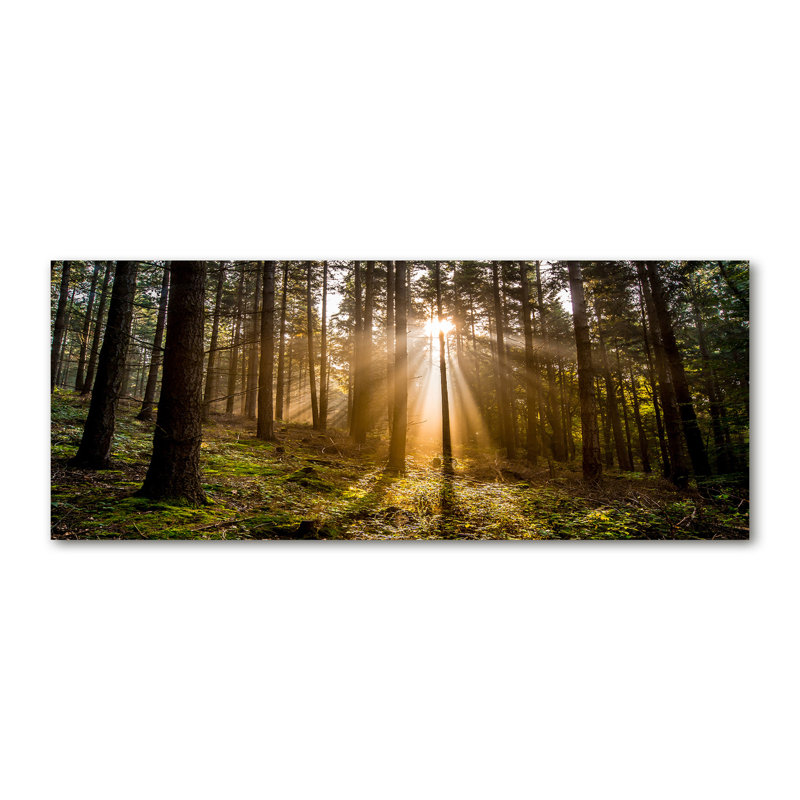 Sunlight - Wrapped Canvas Print, Glass, 70cm H x 100cm W