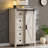 Charithra 5-Drawer Chest with Sliding Barn Door-1259757805