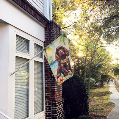 Double Sided 40'' H x 28'' W Polyester Animal House Flag
