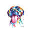 Pitbull - Wrapped Canvas Print-34181189