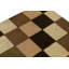Checkered Area Rug